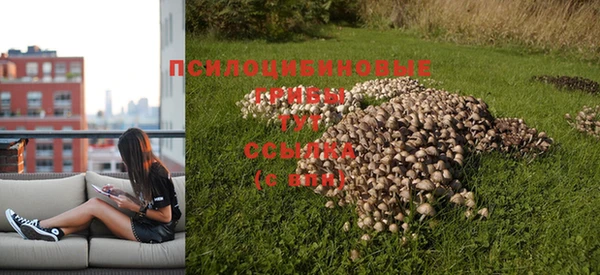 MESCALINE Мегион