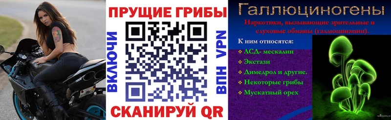 площадка клад  Беслан  Галлюциногенные грибы ЛСД 