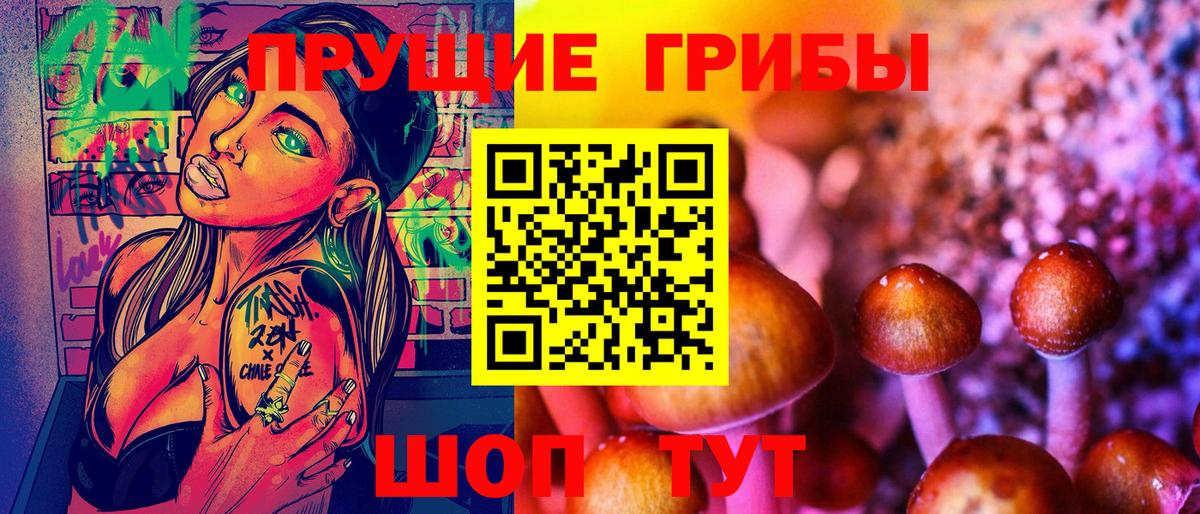 Галлюциногенные грибы прущие грибы  Беслан 