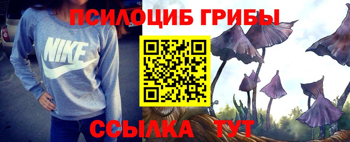 Беслан  Псилоцибиновые грибы Psilocybe  Вход с VPN 